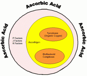 structure of Vitamin C